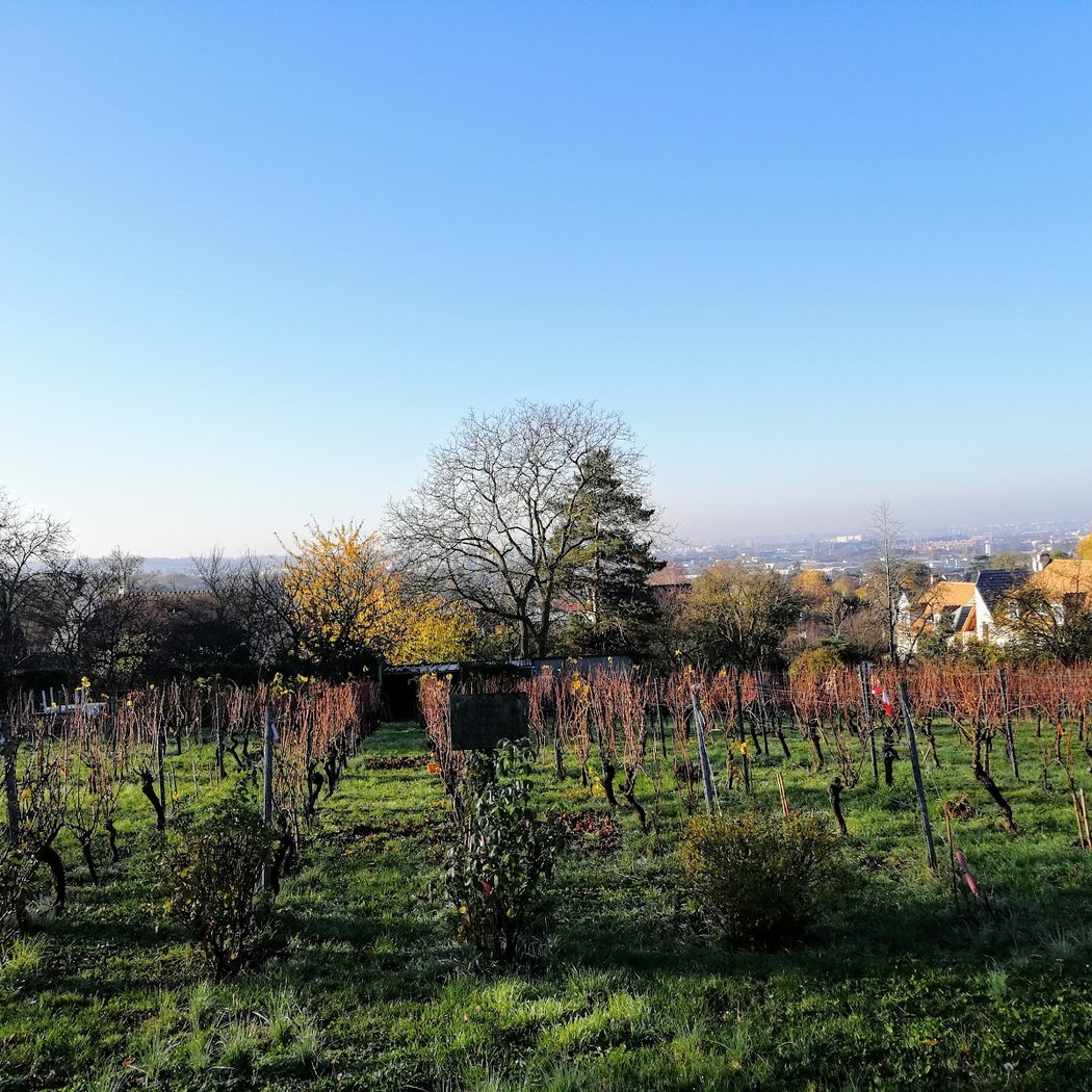 Senteurs Garden 2